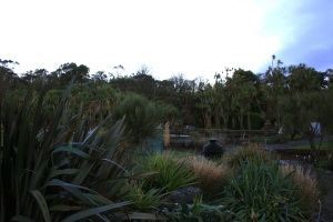 Here is a shot of one of the gardens at RBGE Logan.
