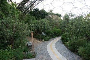 Here is one of the paths curving through the olive grove in the Mediterranean Biome. 